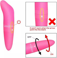 DOLPHIN Magic Wand Vibrating Massager