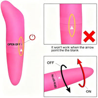 DOLPHIN Magic Wand Vibrating Massager