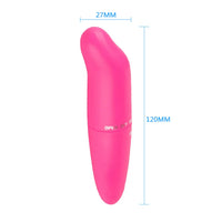 DOLPHIN Magic Wand Vibrating Massager